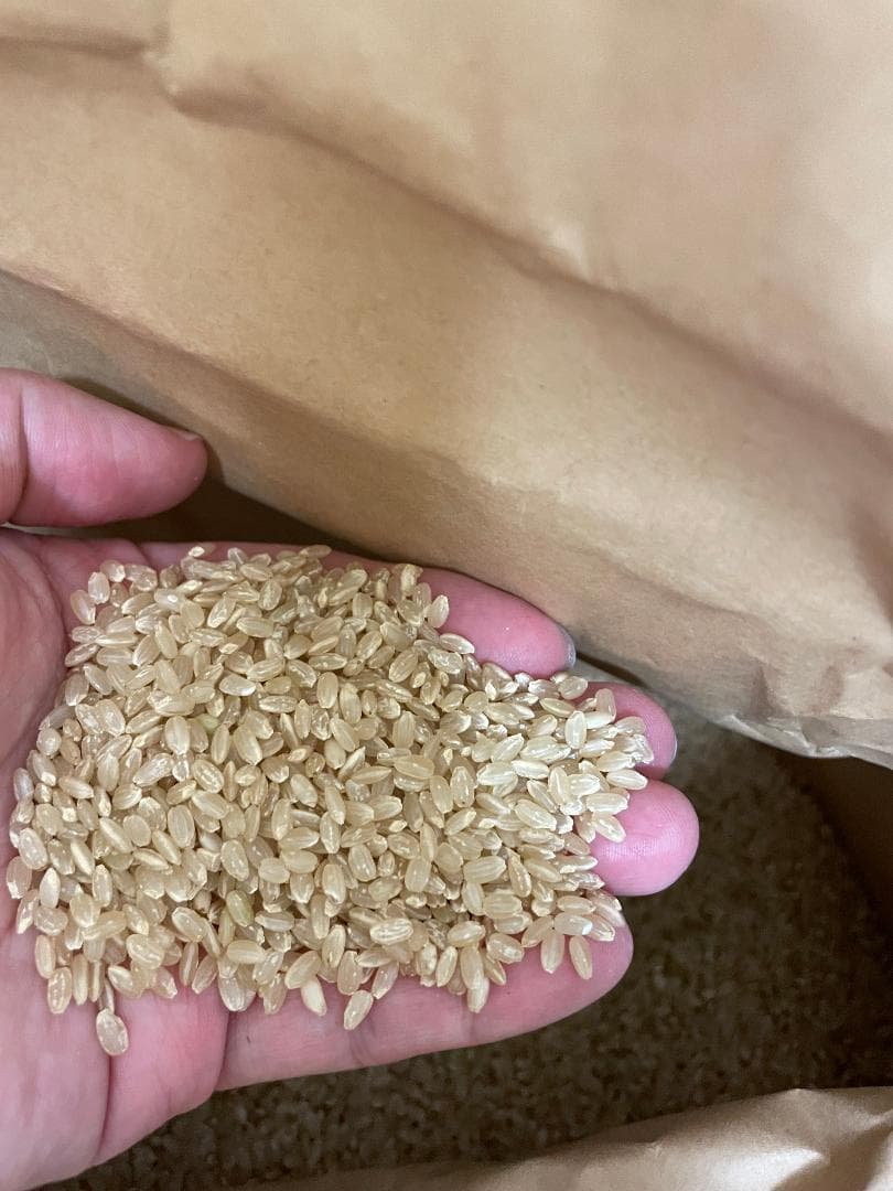 宮城県産 ひとめぼれ 玄米30kg 精米可能（27㎏） 令和7年産 沖縄離島不可