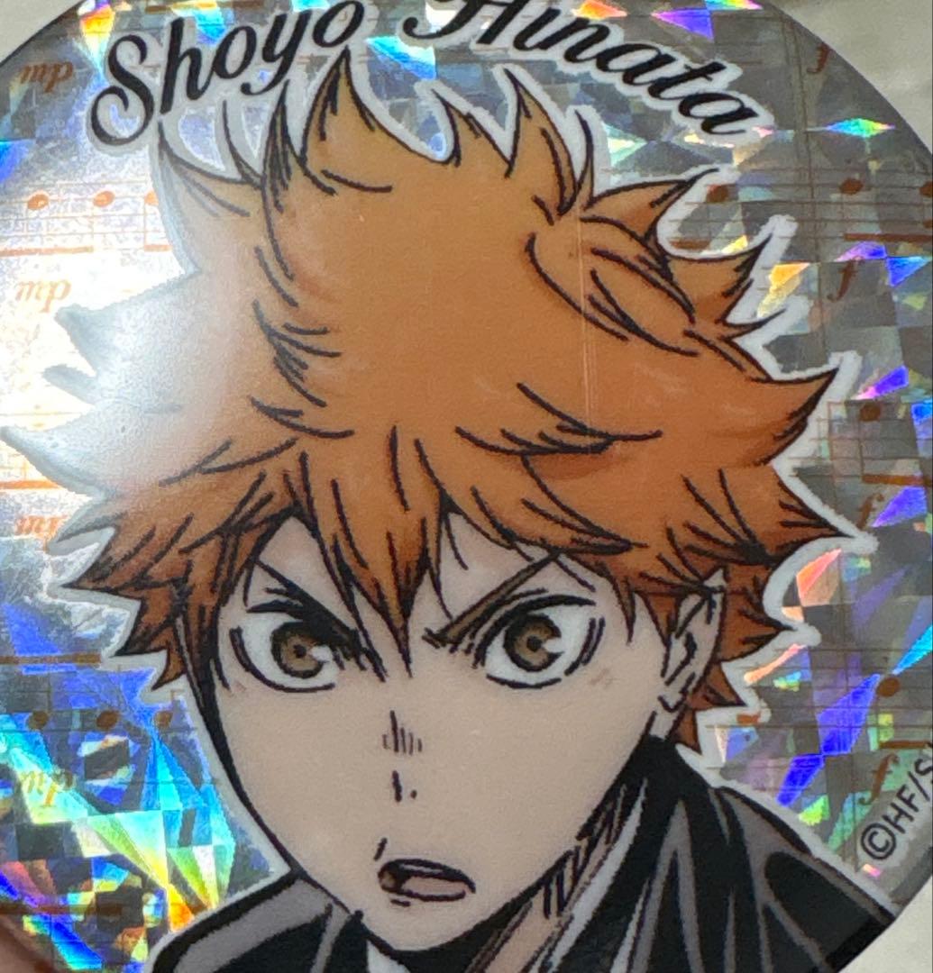 ハイキュー 日向翔陽 コンサート 缶バッジ