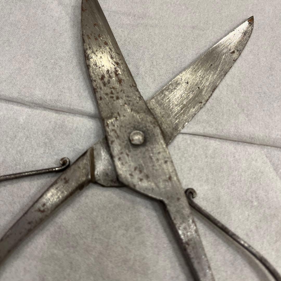 種子鋏　本種子鋏　骨董　ヴィンテージ　アンティーク　ハサミ　はさみ　レトロ
