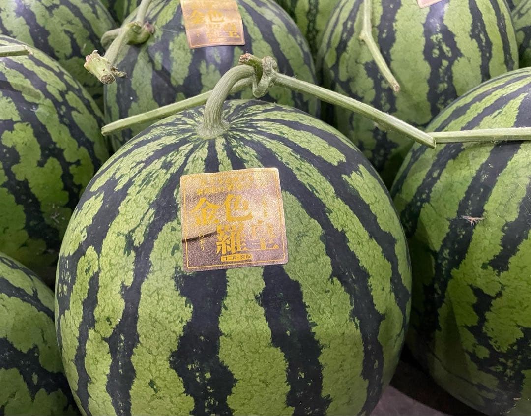 百貨店御用達！美味い！熊本産【金色羅皇】秀品6L2玉セット（23〜25k箱込）