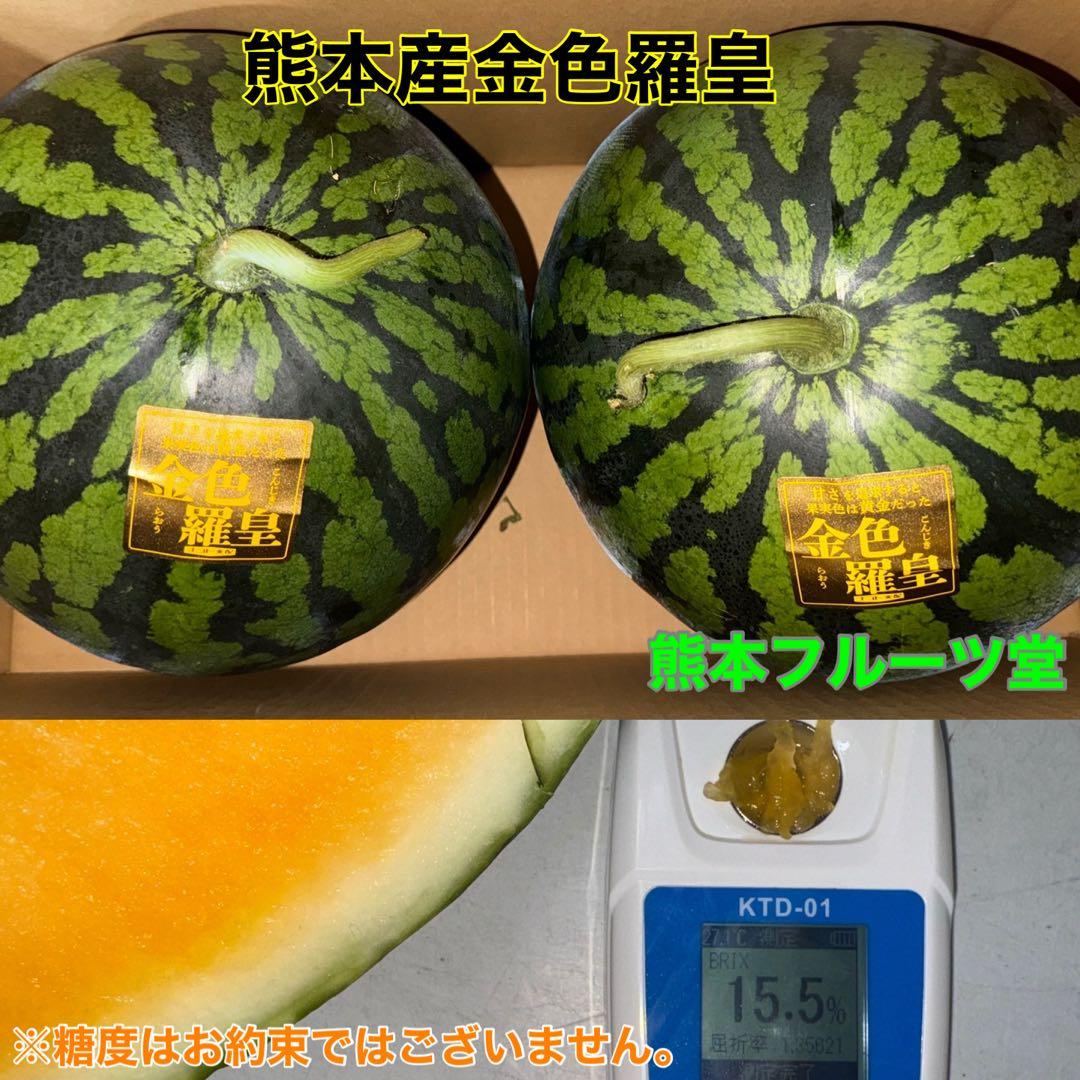 百貨店御用達！美味い！熊本産【金色羅皇】秀品6L2玉セット（23〜25k箱込）