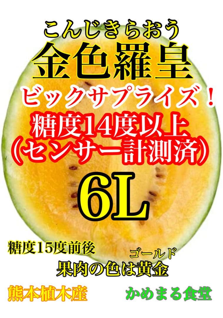 百貨店御用達！美味い！熊本産【金色羅皇】秀品6L2玉セット（23〜25k箱込）