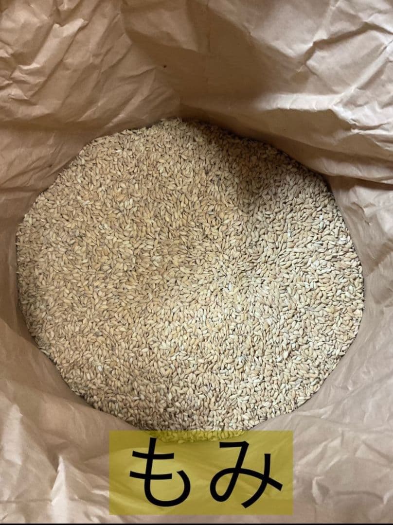 令和7年度　京都府産　コシヒカリ自家生産　説明欄必読　精米済み