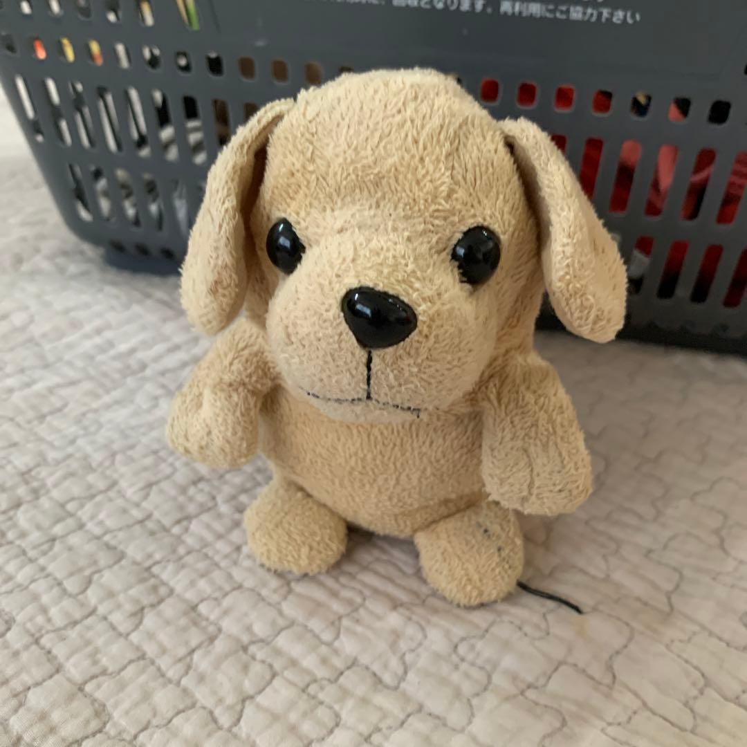 ベージュの犬のぬいぐるみ