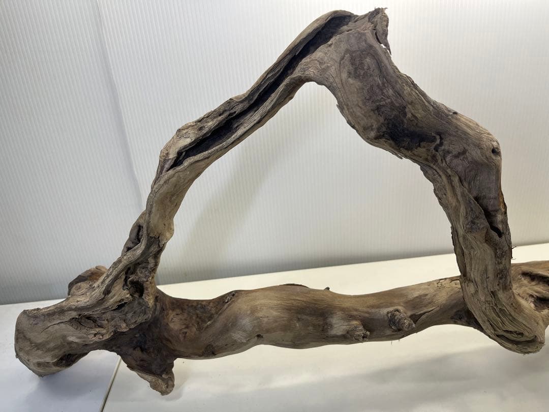 k36特大流木 アク抜き済み 爬虫類シェルター レイアウト用 登り木 インテリア