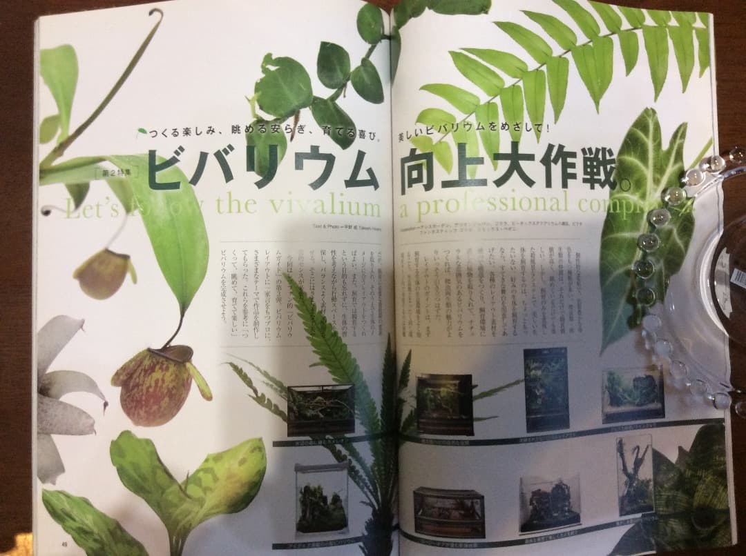 レプタイルズ Fan Vol.1〜5 全5冊 まとめ売り コスミック出版