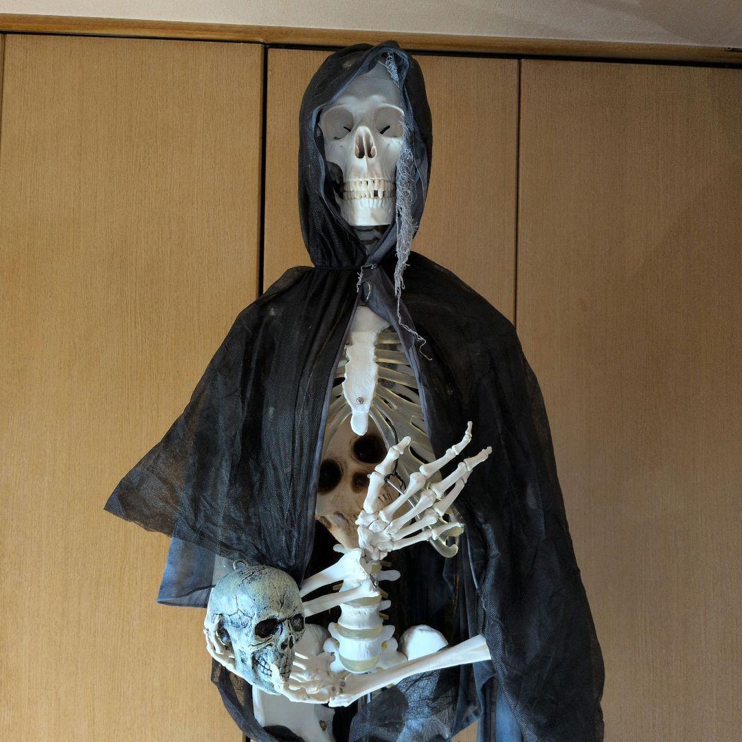 等身大人体骨格模型　 ハロウィン装飾　ドッキリなどにどうぞ！