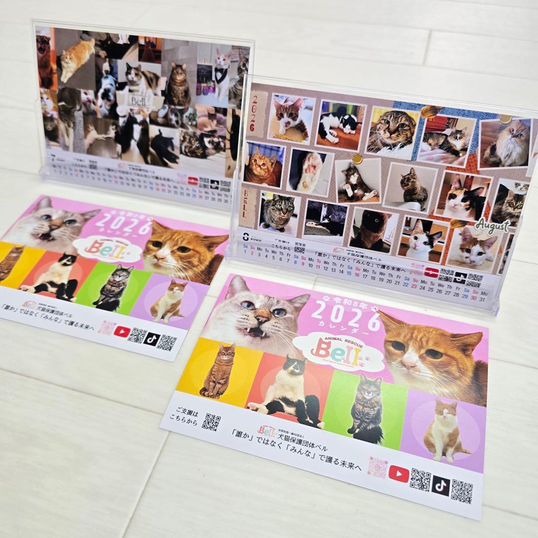 ②《猫》 卓上チャリティーカレンダー10枚セット