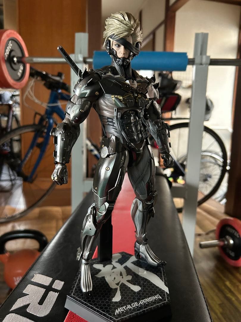 ホットトイズL GEAR RISING: REVENGEANCE 雷電