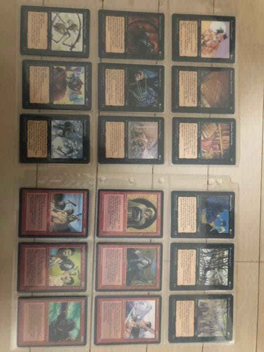 MTG アライアンス　絵違い込み　コンプリートセット　英　ALL