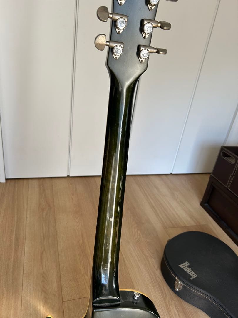 ギター fernandes flg-80