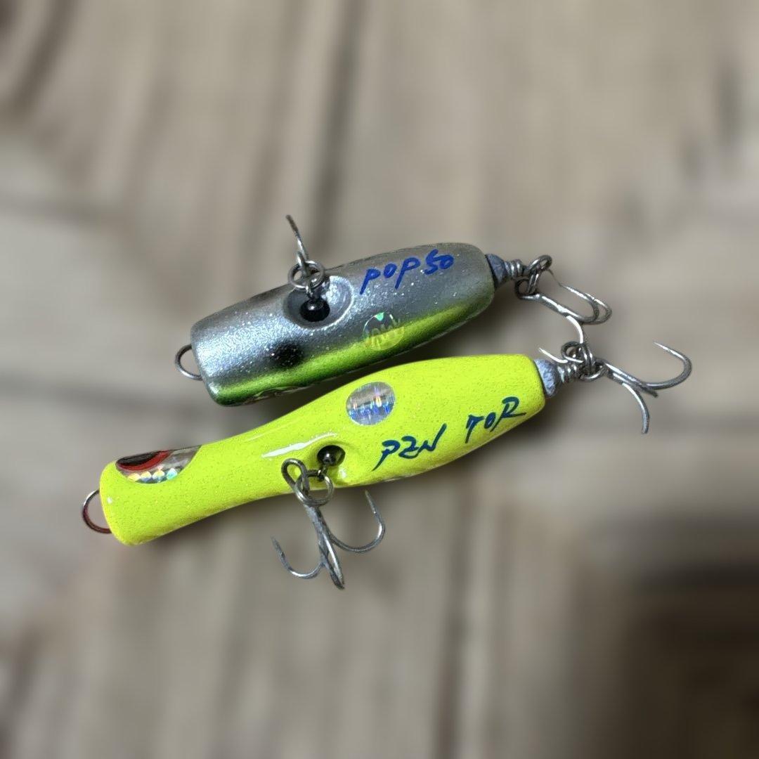 サラポップ50 サラペン70R