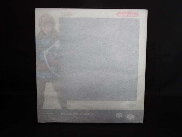 figma ゼルダの伝説 ティアーズ オブ ザ キングダム リンク フィギュア