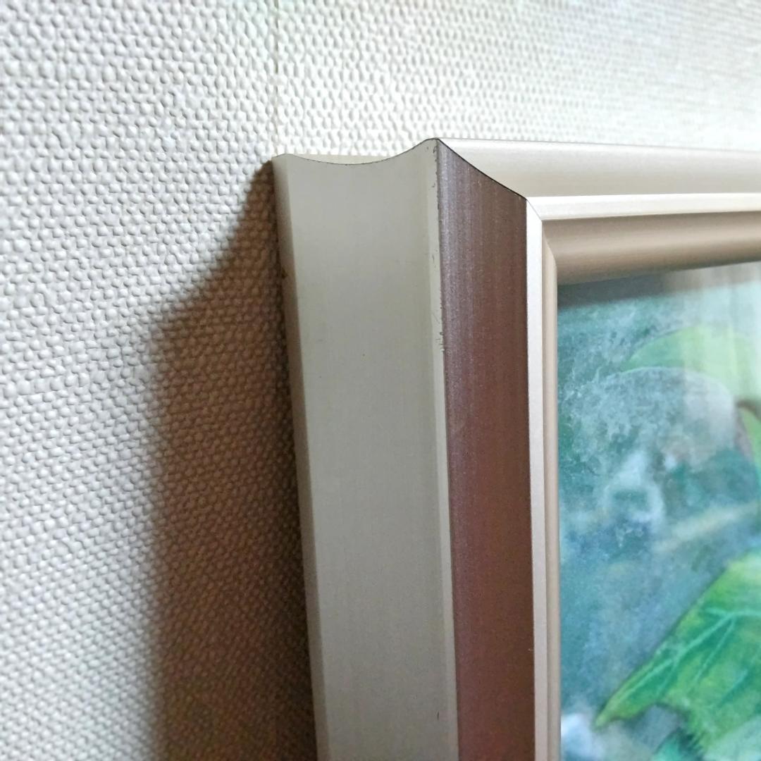 日本画 ハイビスカス アクリル アルミ額付き