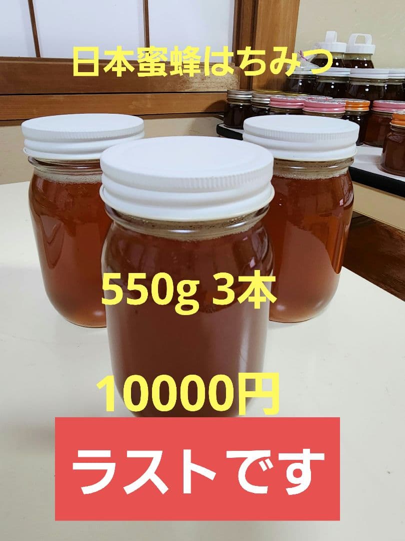 日本蜜蜂はちみつ　550g 3本