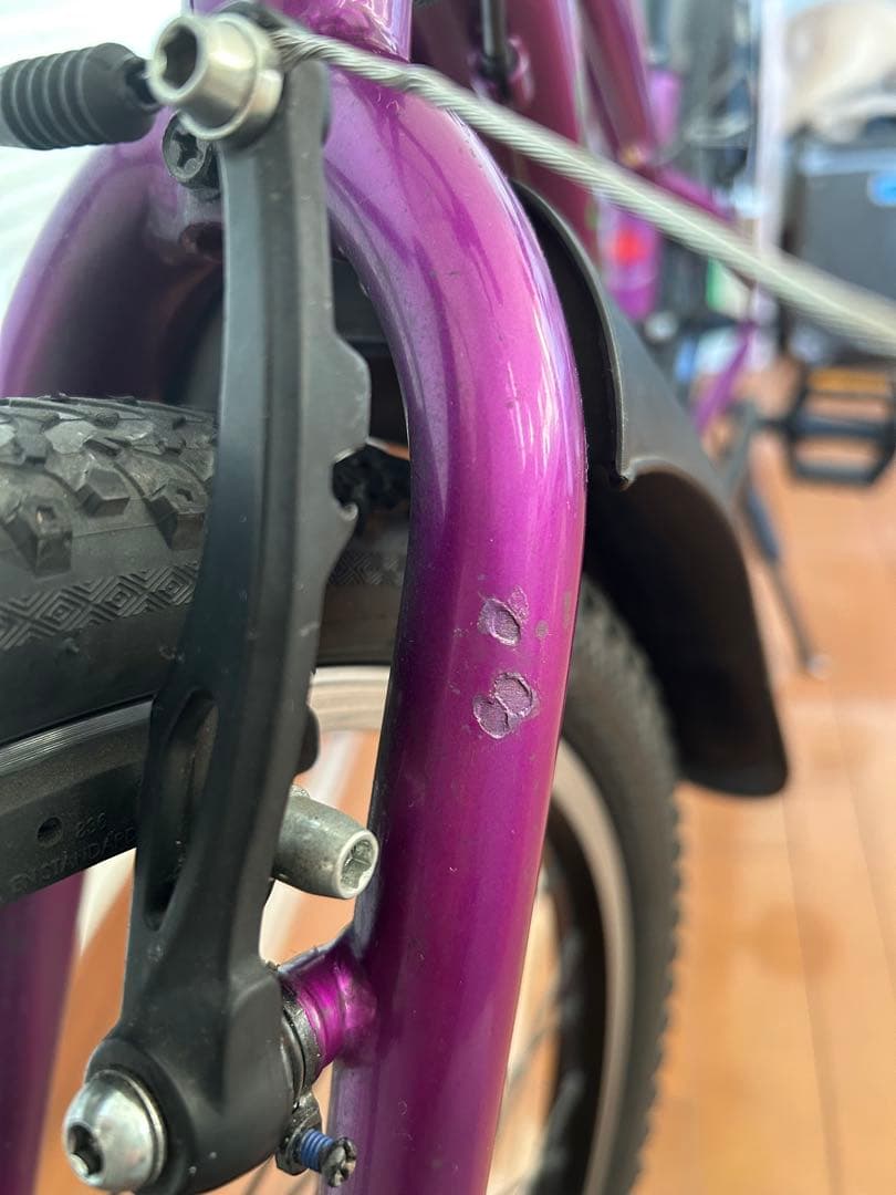 n*o様 Louis Garneau 270mm MIDNIGHT PURPLE