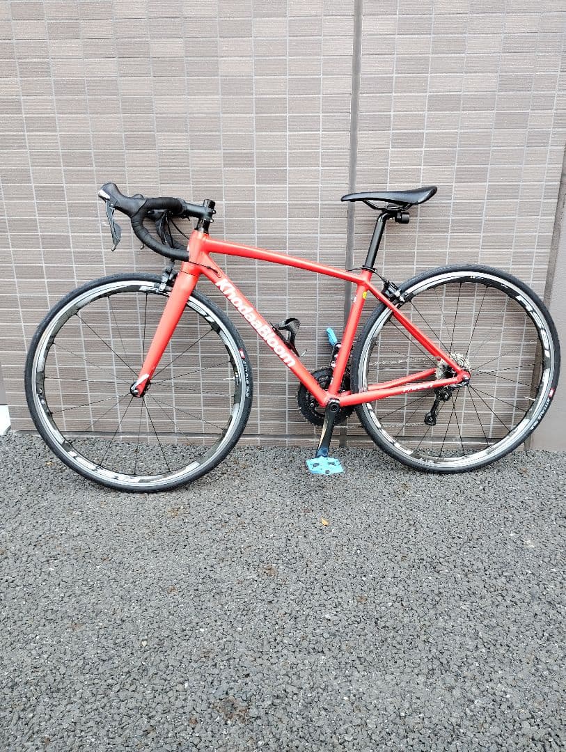 KhodaaBloom FARNA TIAGRA　コーダブルーム　ファーナ