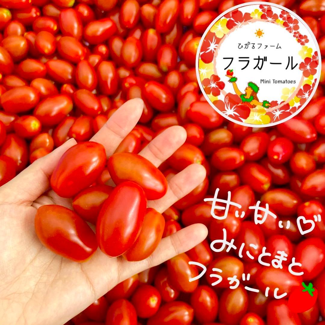 期間限定ラベルレス⭐️甘い♡フラガール100%⭐️ストレートジュース