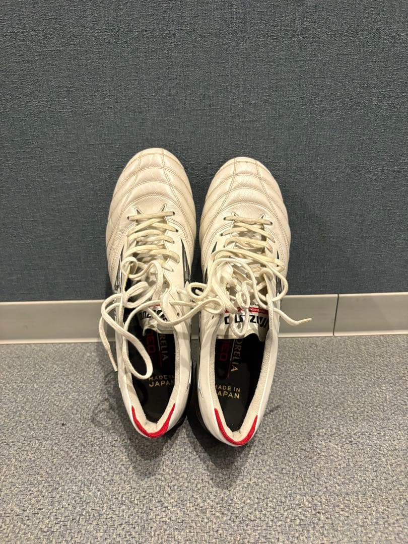 モレリア　鉄スパ　取り替え式　26.5cm