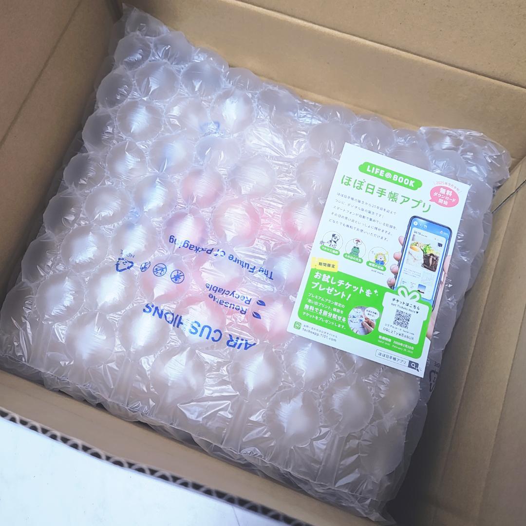 ほぼ日ストア MOTHER2 ネス ソフビ フルアクション 新品