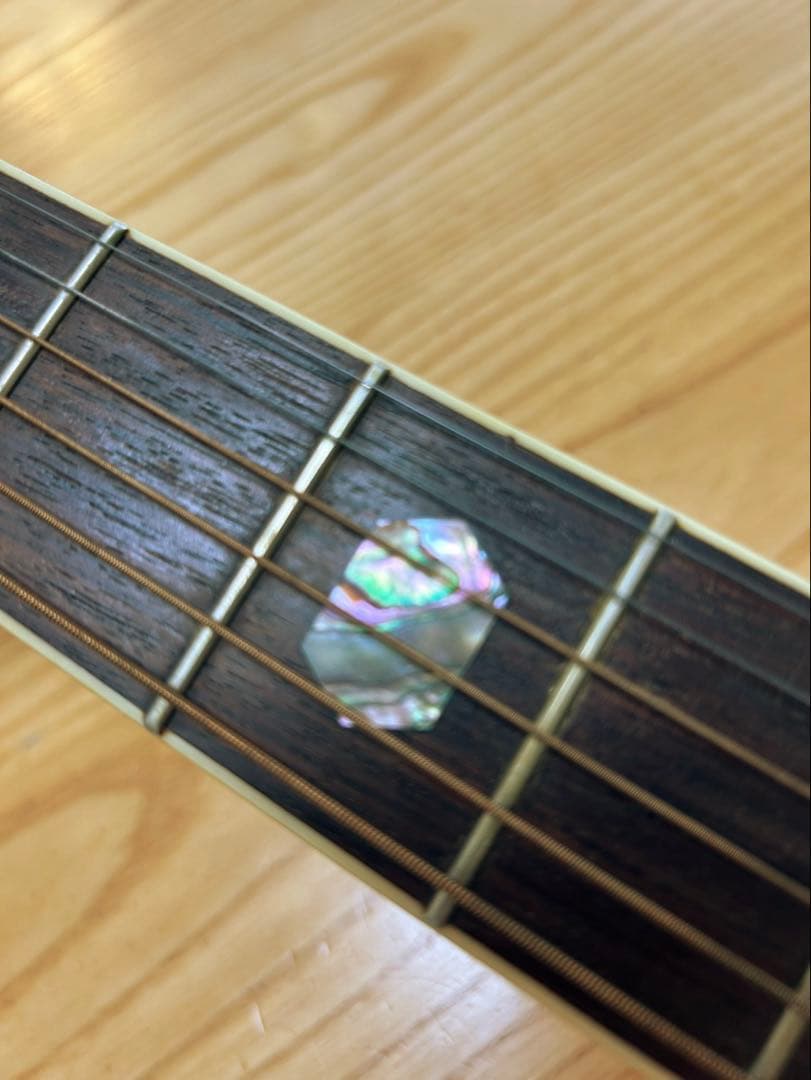 MORRIS TF-801 & Martin ハードドケース