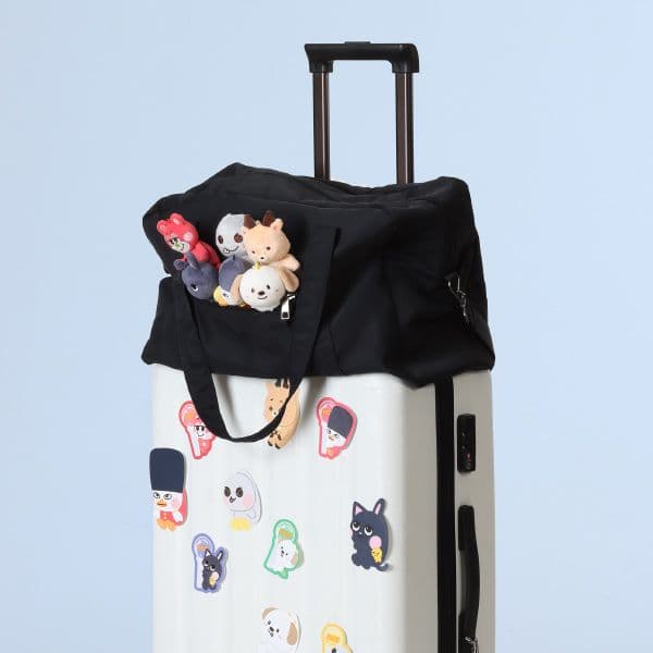 じゃん。 　　　　　　　　　　RIIZE ボストンバック 公式グッズ MD