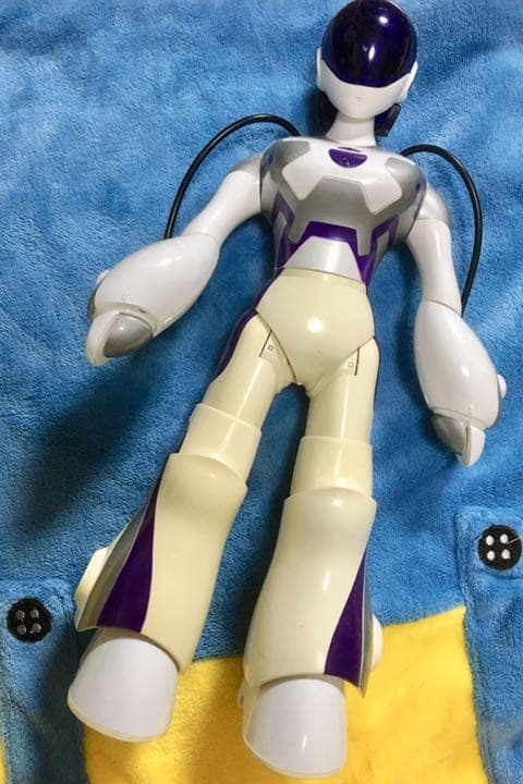 フェミサピエン