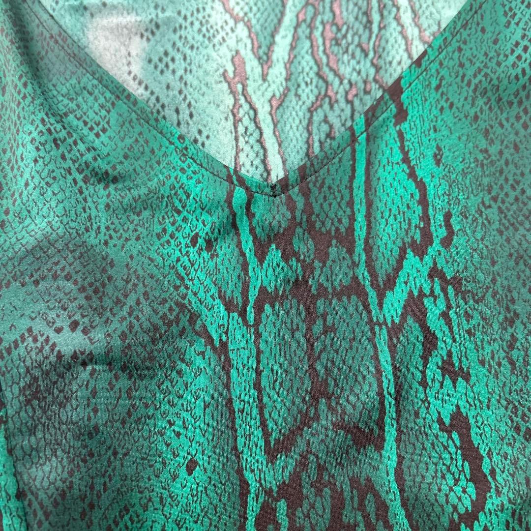 チャコット社交ダンスラテンワンピース緑ヘビ柄