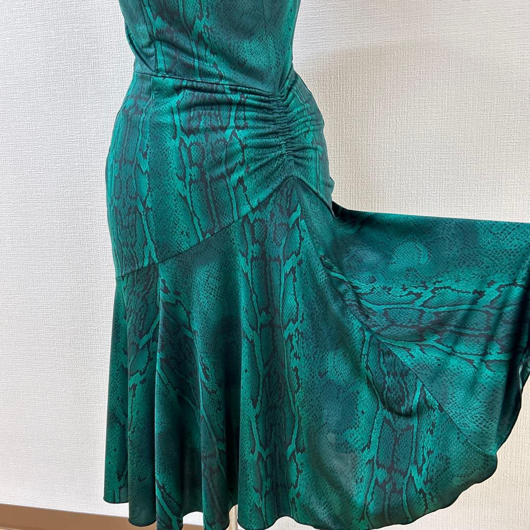 チャコット社交ダンスラテンワンピース緑ヘビ柄