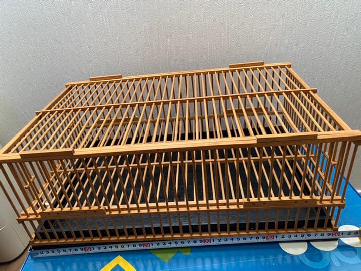 鳥籠　とりかご　正方形　約50cm