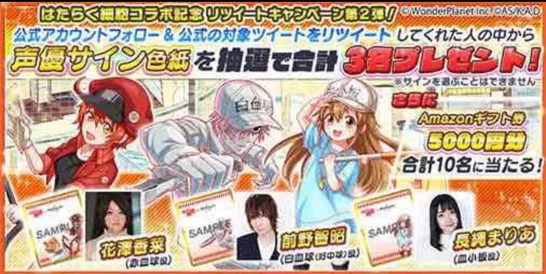 はたらく細胞 クラッシュフィーバー 当選品 直筆サイン 色紙 白血球 前野智昭