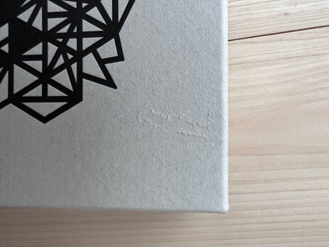 ⭐︎2個セット　MONO GIZAZIG Ledlenser ML4