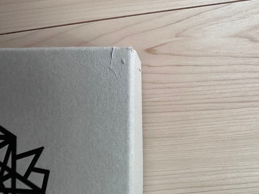 ⭐︎2個セット　MONO GIZAZIG Ledlenser ML4