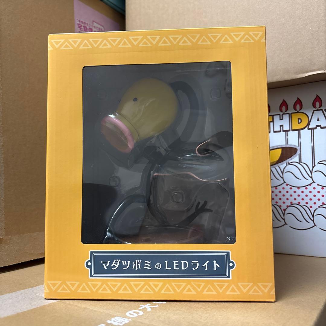 マダツボミのLEDライト