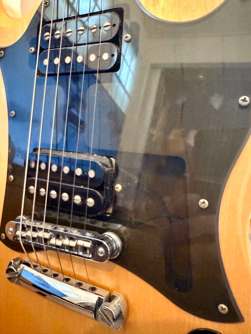 ギター '09 Gibson SG rawpower