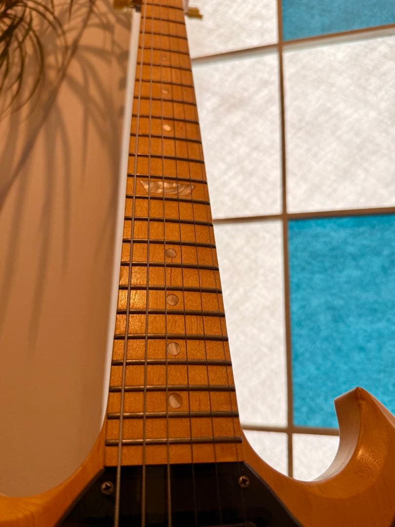 ギター '09 Gibson SG rawpower