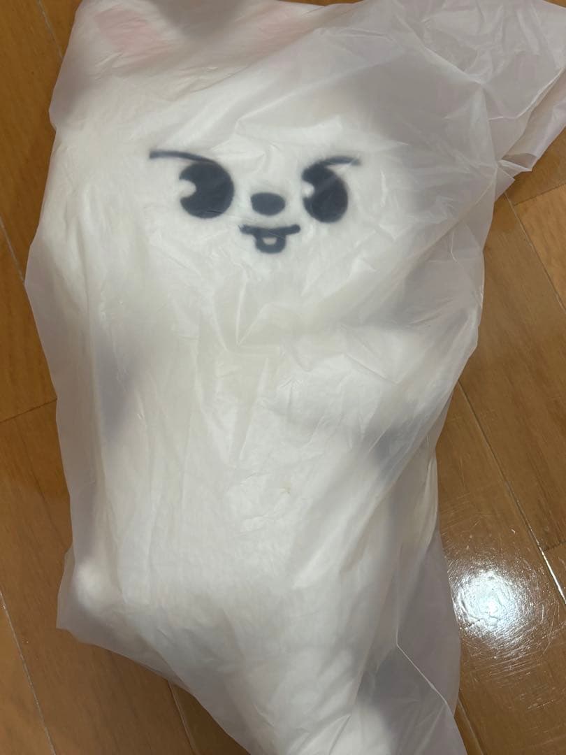 StrayKids SKZOO プラッシュバッグ リービット