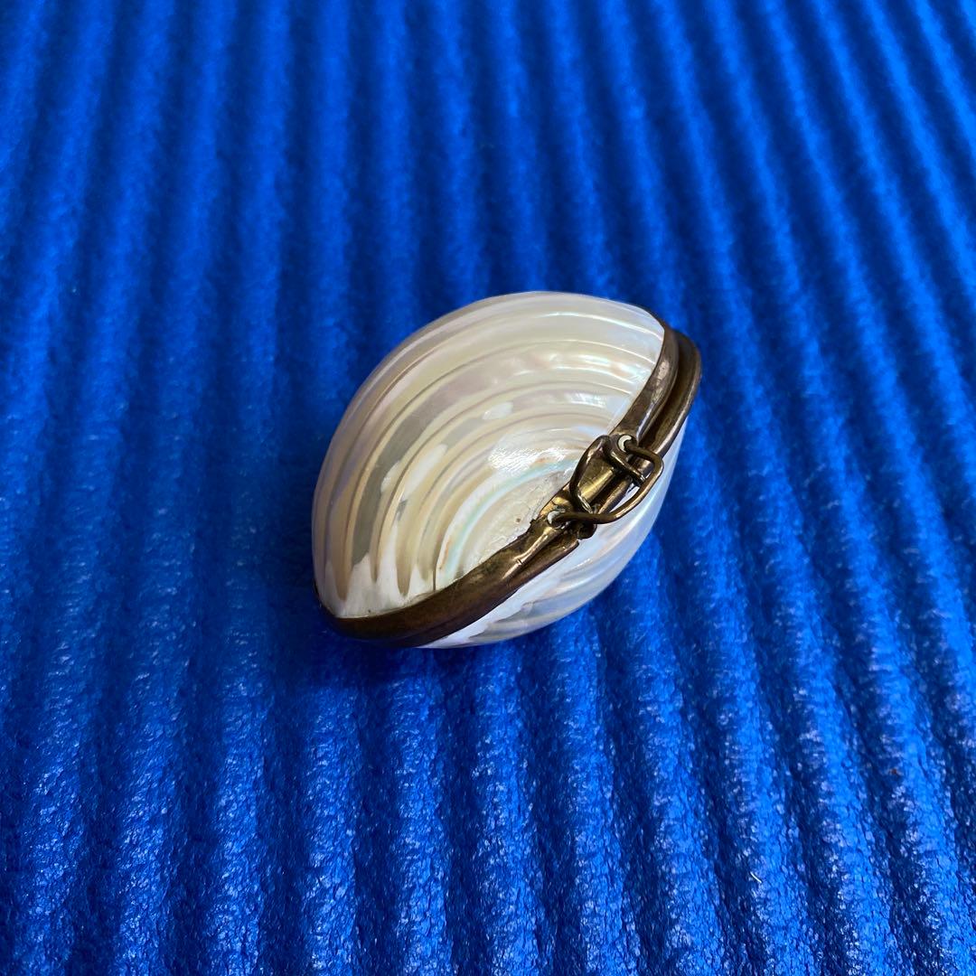 フランスアンティークマザーオブパール　白蝶貝