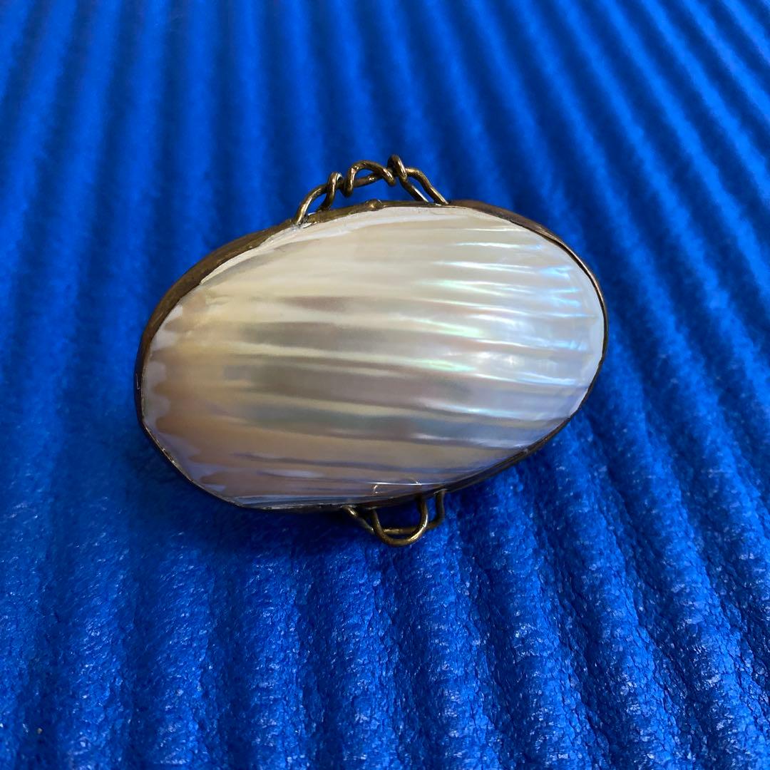 フランスアンティークマザーオブパール　白蝶貝