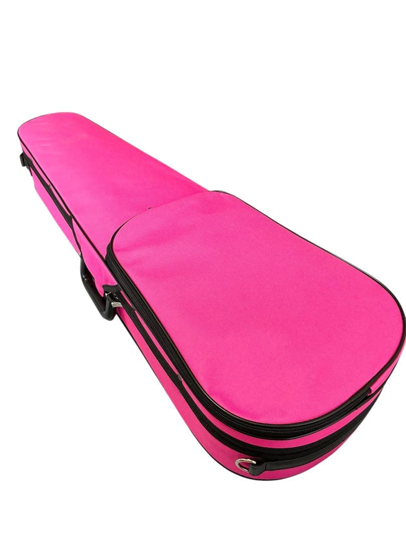 Carlo giordano カルロ ジョルダーノ バイオリン 4/4