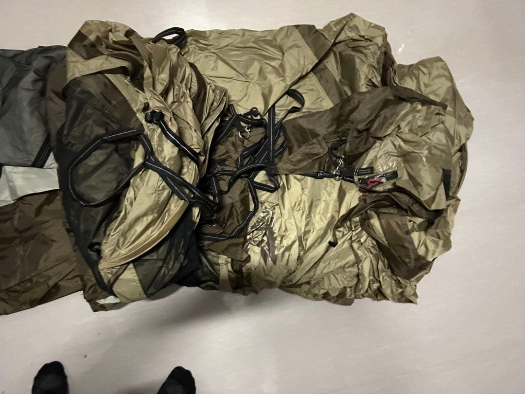 オガワ　ヴィガスⅡ