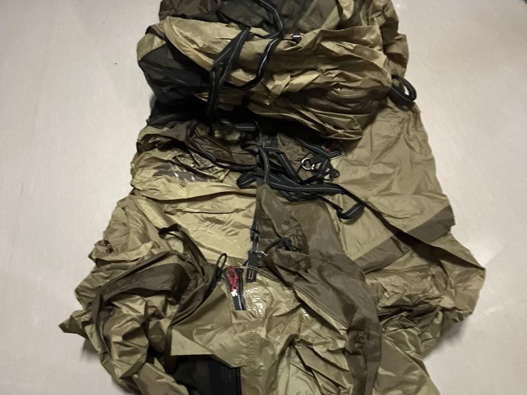 オガワ　ヴィガスⅡ