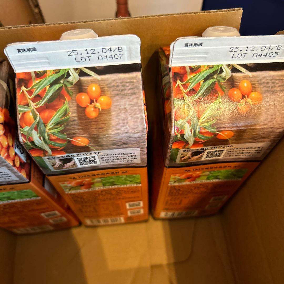 豊潤サジー 3ヶ月分＋おまけ