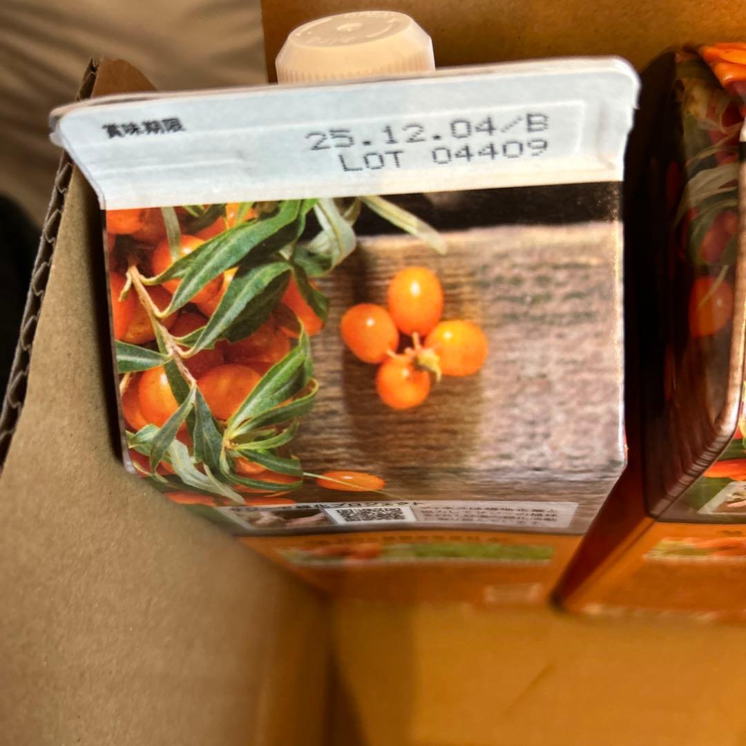 豊潤サジー 3ヶ月分＋おまけ