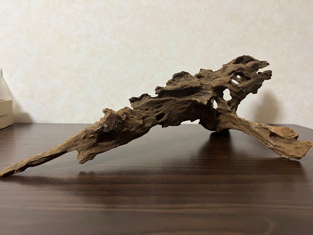 XM-363 ブランチウッド　流木　マシンガンウッド　アクアリウム　爬虫類