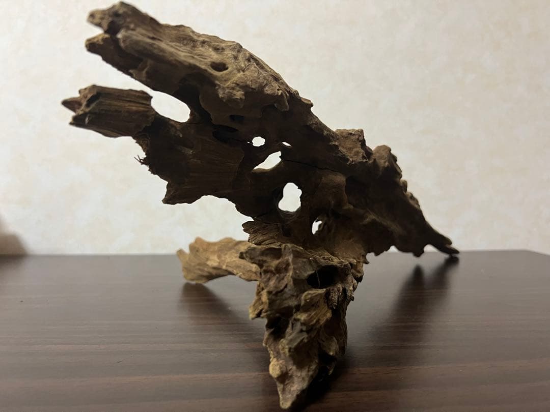 XM-363 ブランチウッド　流木　マシンガンウッド　アクアリウム　爬虫類