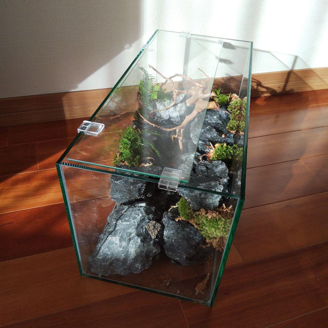 【受注生産】横から見るアクアテラリウム