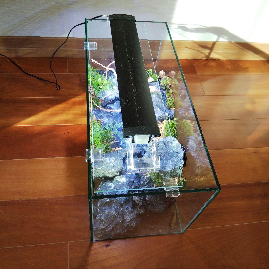 【受注生産】横から見るアクアテラリウム