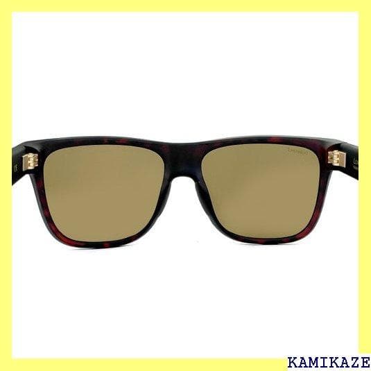 《＃アウトドアⅣ》 SMITH アウトドア キャンプ フィ ングラス スミ 46