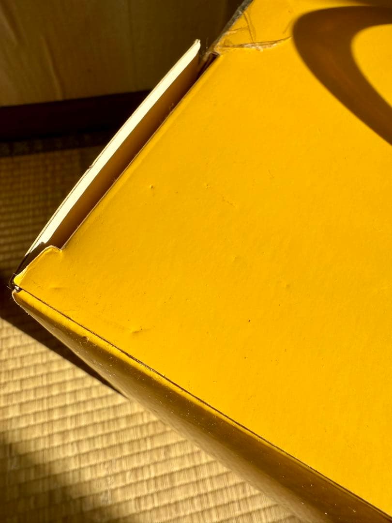 鍋*様 【箱傷み大の未開封品】ラインフレンズ　サリーぬいぐるみ